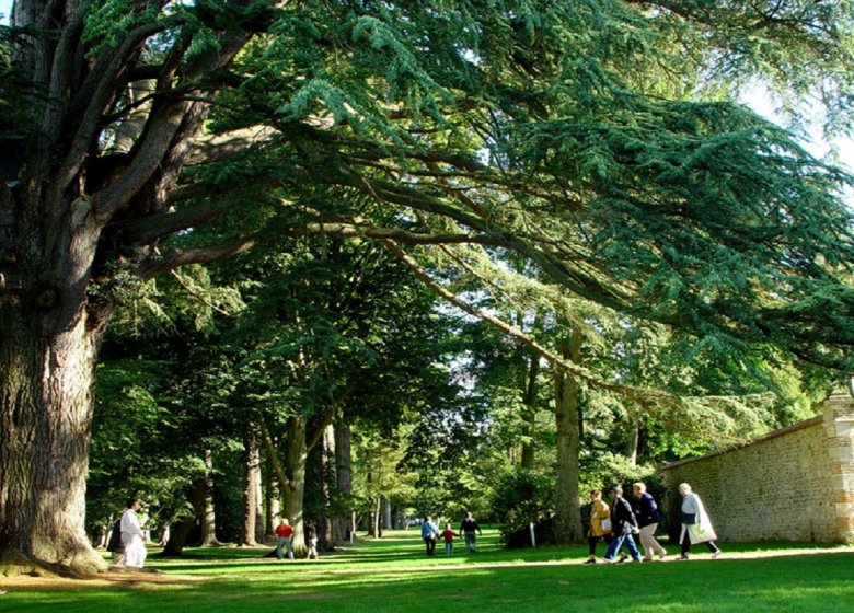 Arboretum d’Harcourt