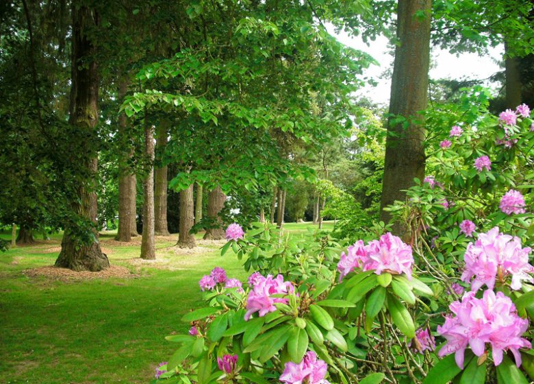Arboretum d’Harcourt